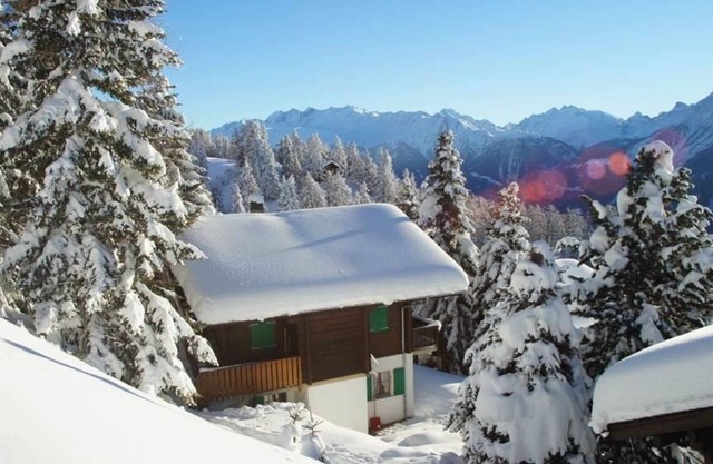 2 Bedroom Chalet in Riederalp