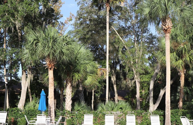 2-bedroom condo in marvelous Florida fun area. Enjoy a relaxing stay