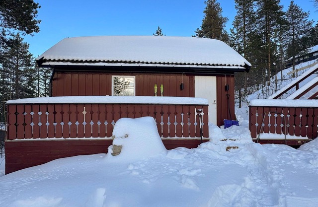 2 bedroom pet friendly home in Rendalen