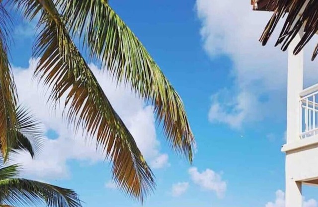 2 Beds Studio on the Beach (Sandyground, Anguilla) 45m2