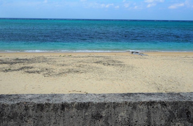2 minutes walk to Moon Beach which was also ch - Moon House Room 101 / Kunigami-gun Okinawa