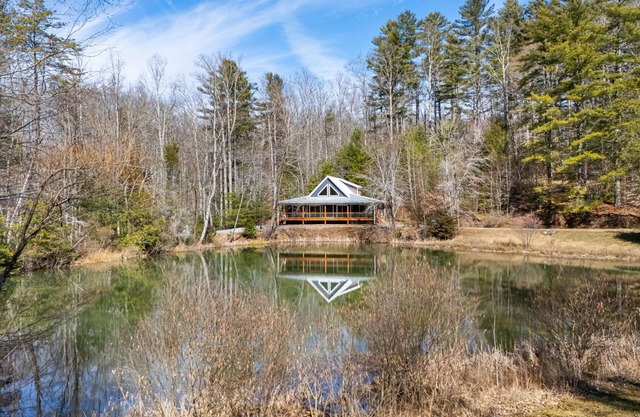2 Private Homes w/Pond, Views & Fire Pit + Biltmore Pass | Pet-Friendly