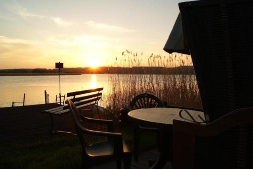 2 Raumwohnung mit sonniger Terrasse und Seeblick