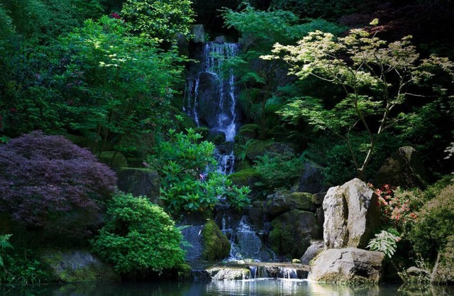 2 Units Near Portland Japanese Garden! Indoor Pool, Pet-friendly Property!