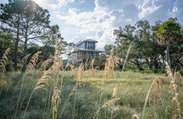 20% OFF FALL! Quiet, Bayfront Seclusion w/Pond, Dogs Welcome!