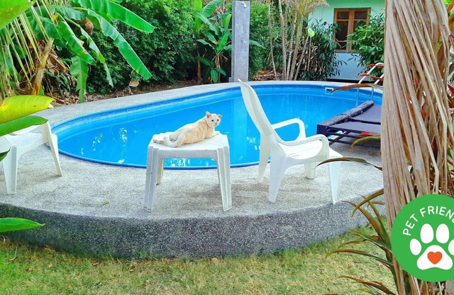 2½-room Bungalow with shared Pool