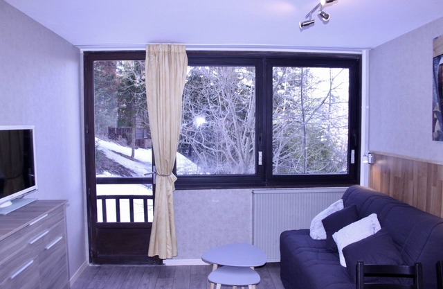26m2 studio 30 meters from the ski slopes tastefully furnished