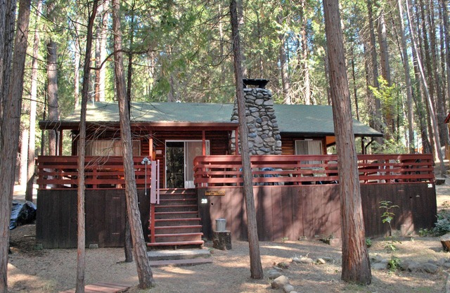 (28) Raccoon's End at The Redwoods In Yosemite