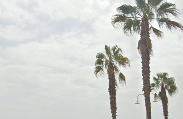 2BEACH LINE