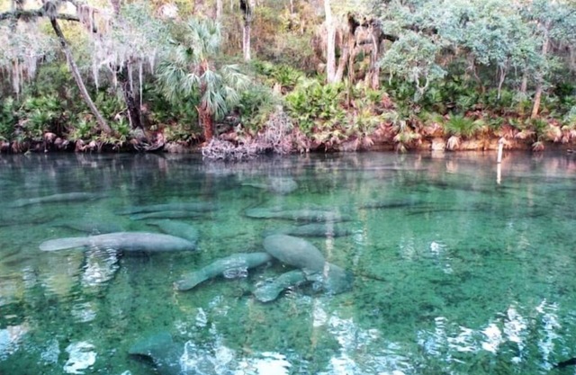 3 acre w/private trail 15 min walk to the springs