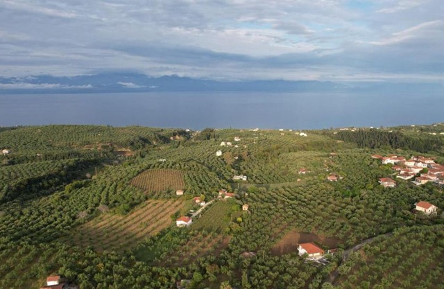 3 ASTERIA