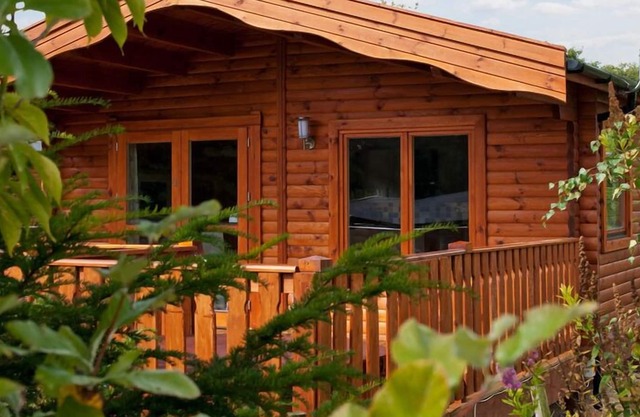 3 bedroom, 5 star, award winning Scandinavian Lodge (sleeps 6)