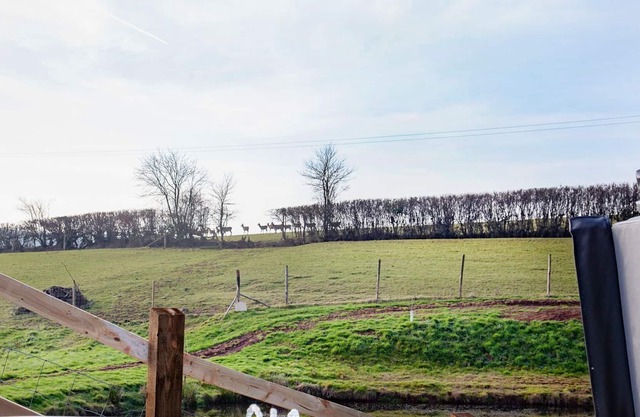 3 bedroom accommodation in Cadeleigh