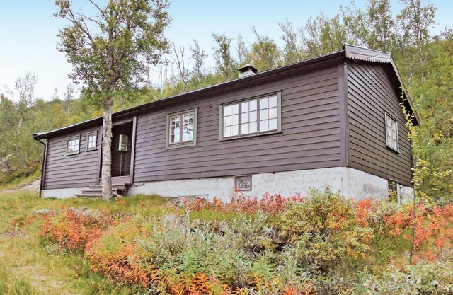 3 bedroom amazing home in Haugastøl