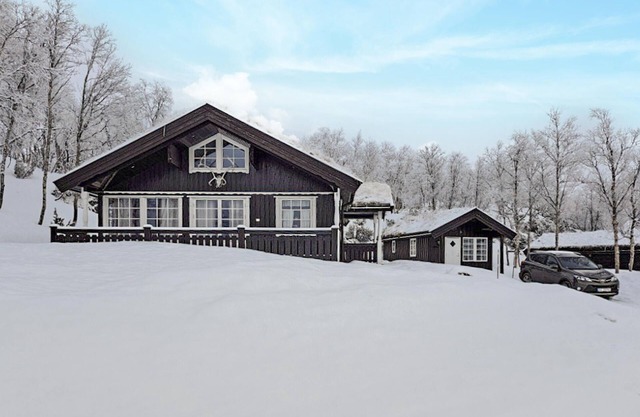 3 bedroom amazing home in Borgund