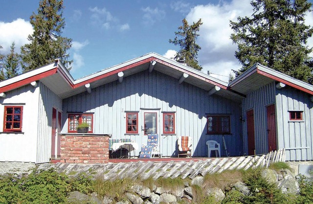 3 bedroom amazing home in Sjusjøen