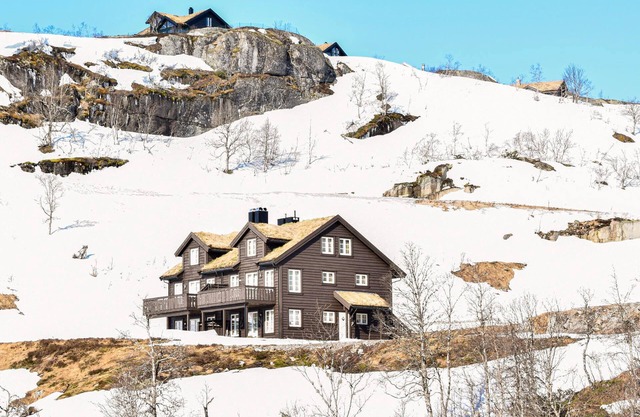 3 bedroom awesome home in åseral
