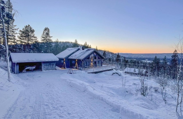 3 bedroom cozy home in Rendalen