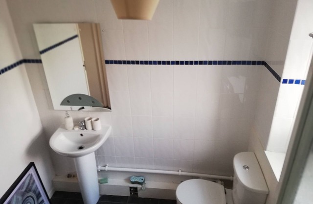 3 bedroom flat for students or professionals