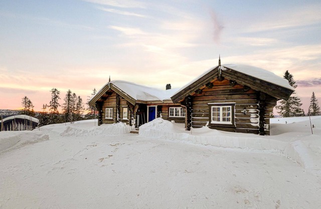 3 bedroom gorgeous home in Sjusjøen