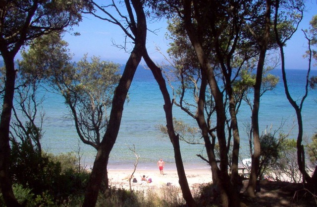 3 bedroom house for 6 people, private pool, near Follonica Tuscany beaches