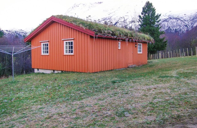 3 bedroom lovely home in Eresfjord