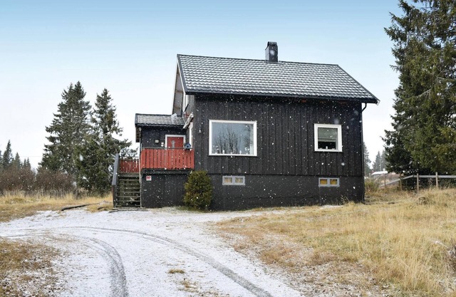 3 bedroom stunning home in Sjusjøen