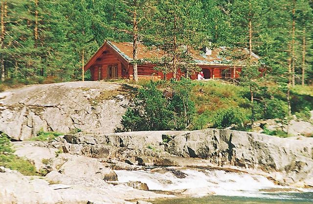 3 bedroom stunning home in Dølemo