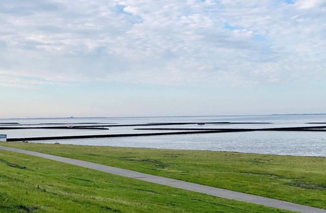 3 km from the Wadden Sea, pets ok, friendly.