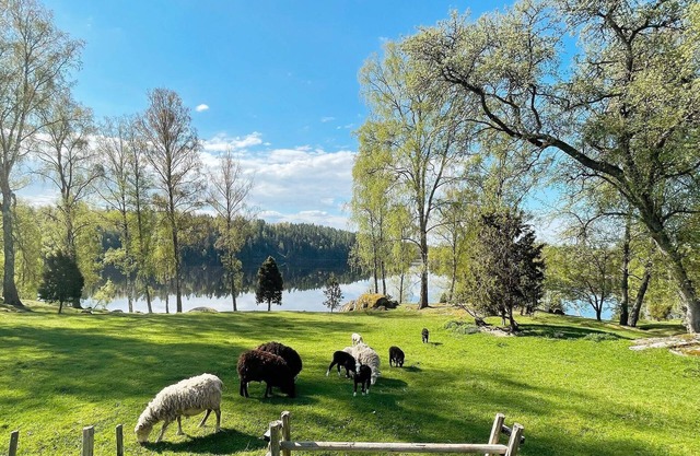3 person holiday home in MÖLNBO