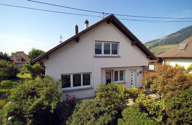 3 Storks, House 9 acres, Alsace Centre