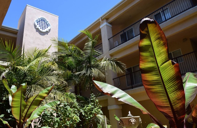 303 Casa Bella: 2 BR, 2 BA Condominium in Pismo Beach, Sleeps 6