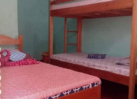 3Kid's Homestay Green