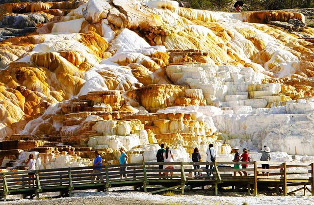 4 Bedroom 3 Bath Home At The Northern Entrance Of Yellowstone National Park