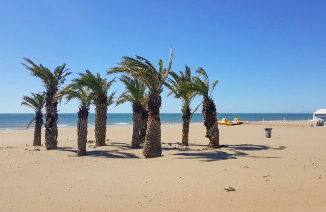 4 bedroom accommodation in Argeliers