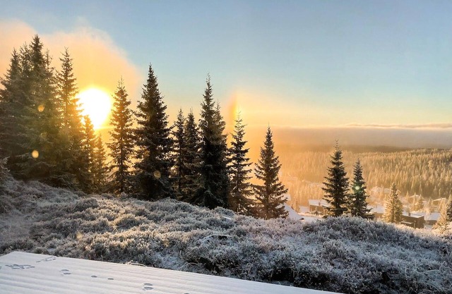 4 bedroom accommodation in Sjusjøen