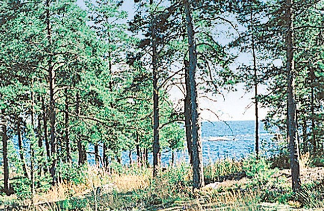 4 bedroom accommodation in Hammarö