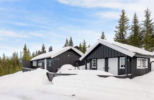 4 bedroom gorgeous home in Sjusjøen