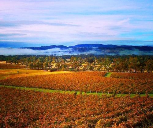 4 Bedroom Holiday House in Winery