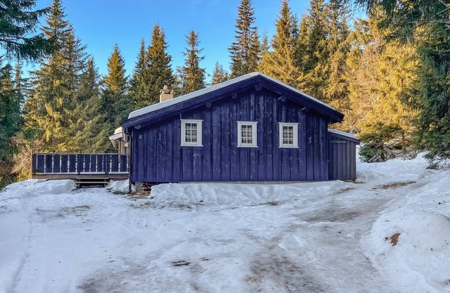 4 bedroom lovely home in østre gausdal