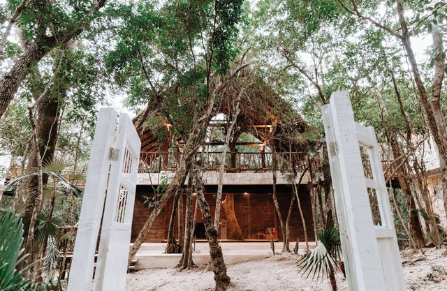 4 Jungle Villas, sleeps up to 32 people!