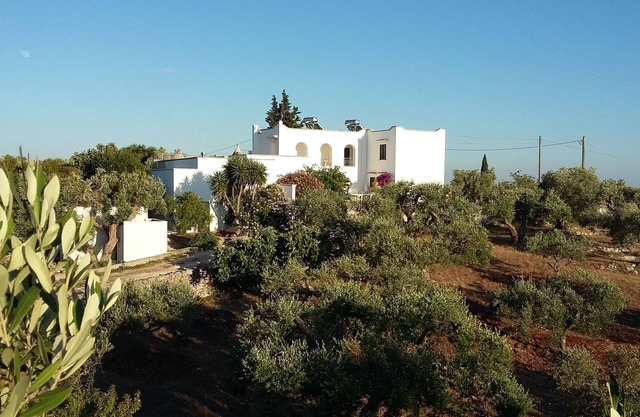 4 person, 1st floor appt. Shared, wonderful 9 m. terrace, pool and tennis crt.