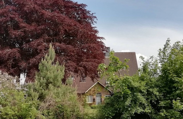 4- Zimmer- Wohnung: "talblick" im Buchenhof- Wagrien