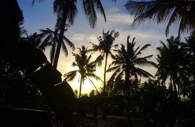 40mbps Ubud Private Wooden Cabin