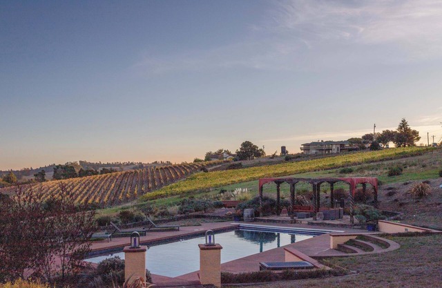 5 Acre Villa Retreat w/Vineyard, Pool, & Spa