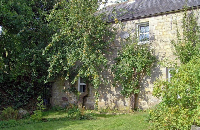 5 bedroom accommodation in Byrness Village, near Otterburn