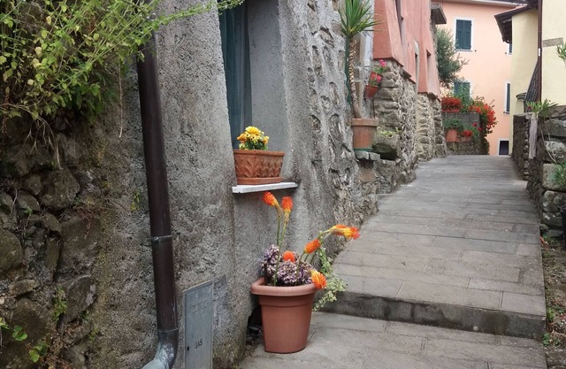 5 Cinque Terre in the countryside (code CITRA 011006-LT-0002)