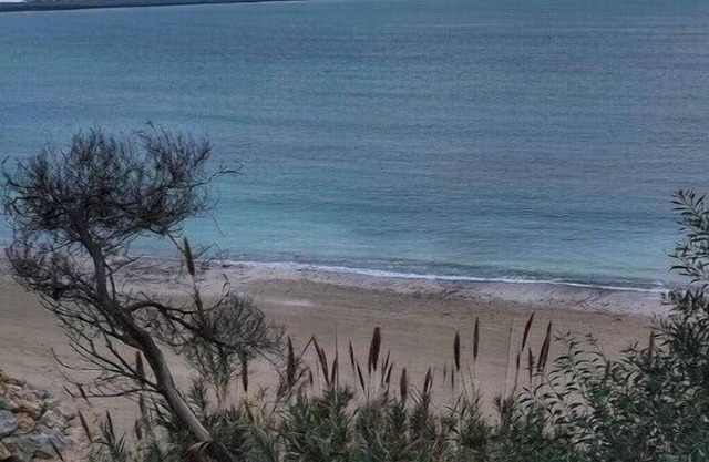 5 min walk to Naval Base,8-10mins walk to beach