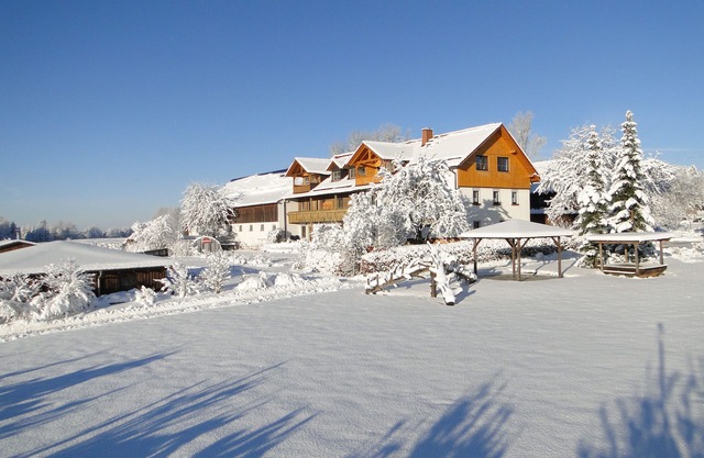 5-star apartment at Birkholmhof, biopool and sauna in the Upper Palatinate Forest
