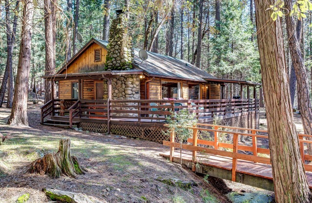 (51) Mia Mora at The Redwoods In Yosemite